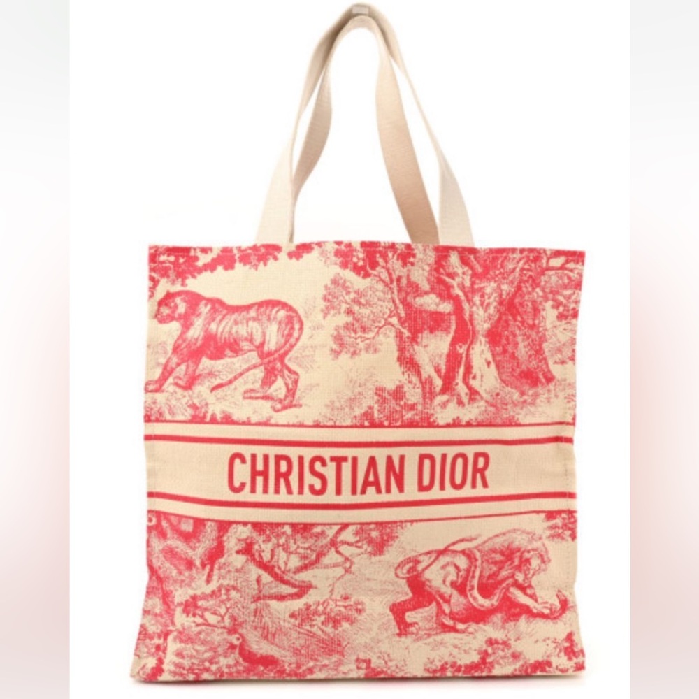 Christian Dior Straw Dioriviera Wardujuy Tote Bag Novelty VIP Gift Bag PINK - Picture 11 of 12